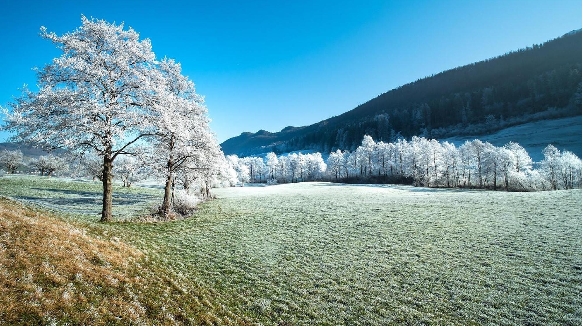 Alpen Appartement Winterberg Eksteriør billede
